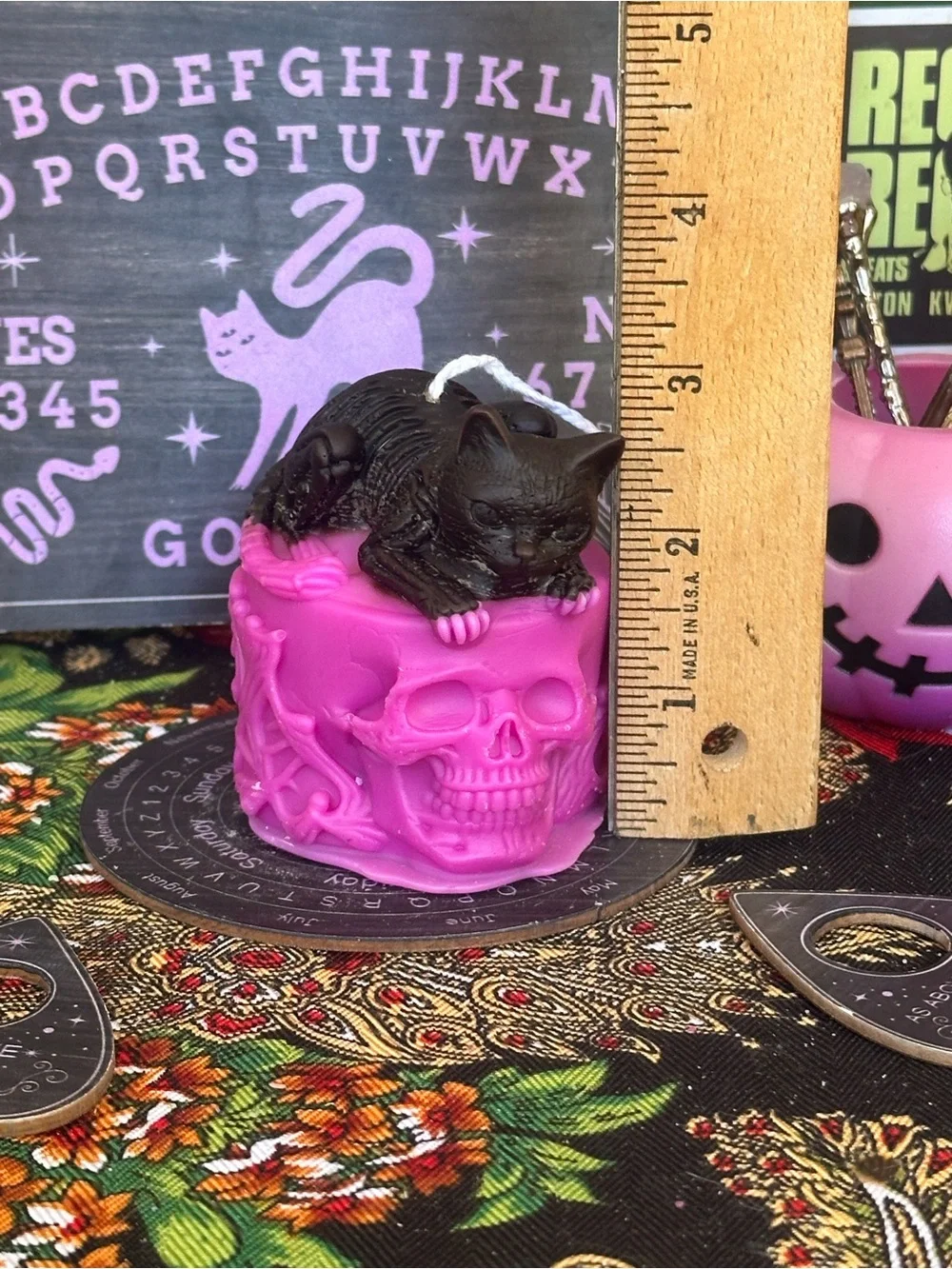 Cat on Skull Candle